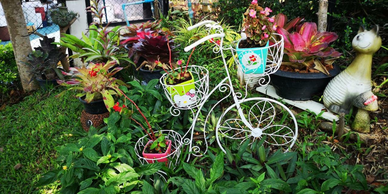 บ้านปลายฝัน Baanplaifun Ban Huai Phai Exteriör bild
